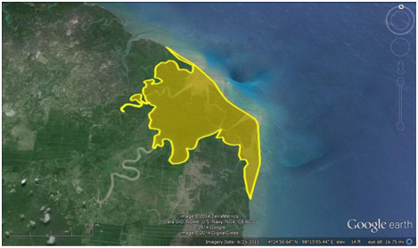 Habitat Tuntong Laut di Aceh Tamiang